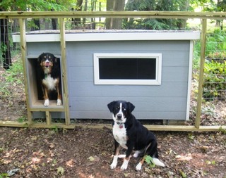 Buddy and Emma - Ohio